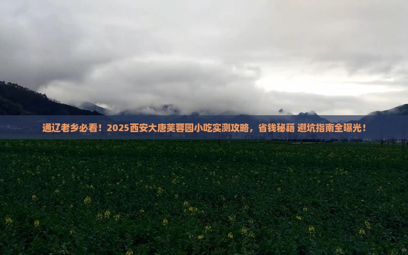 通辽去西安大唐芙蓉园旅游小吃