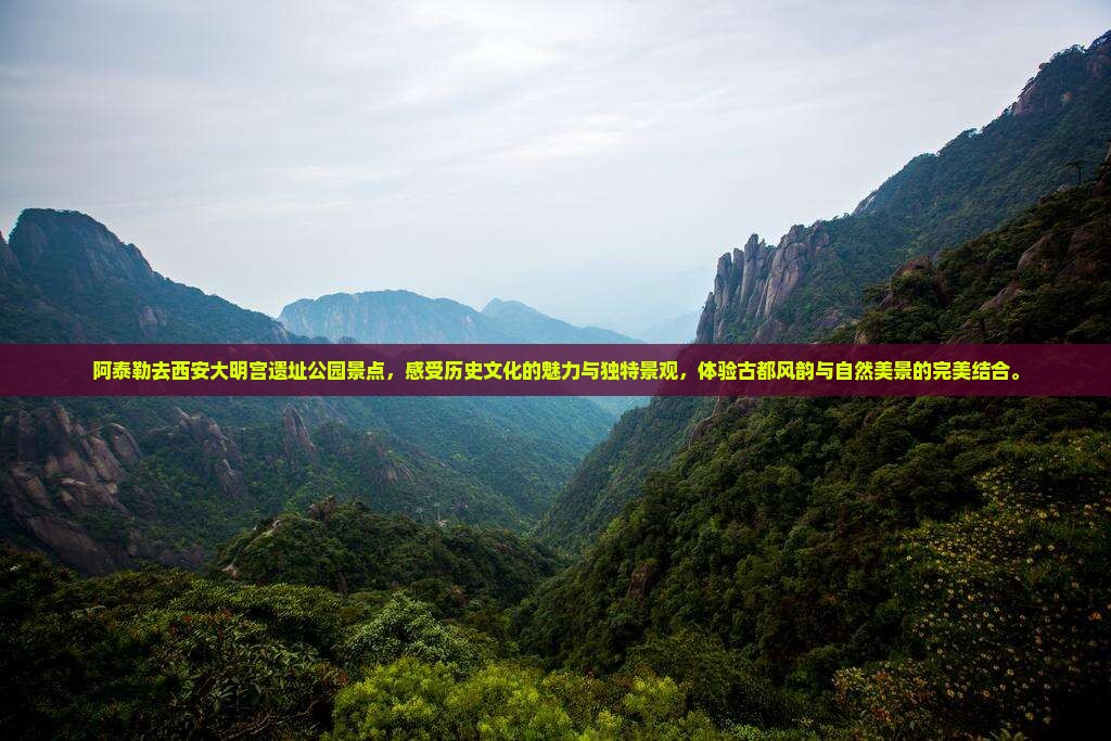 阿泰勒去西安大明宫国家遗址公园景点