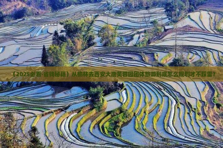 榆林去西安大唐芙蓉园团体旅游