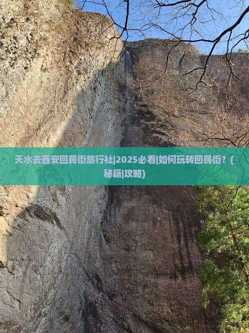 天水去西安回民街旅行社