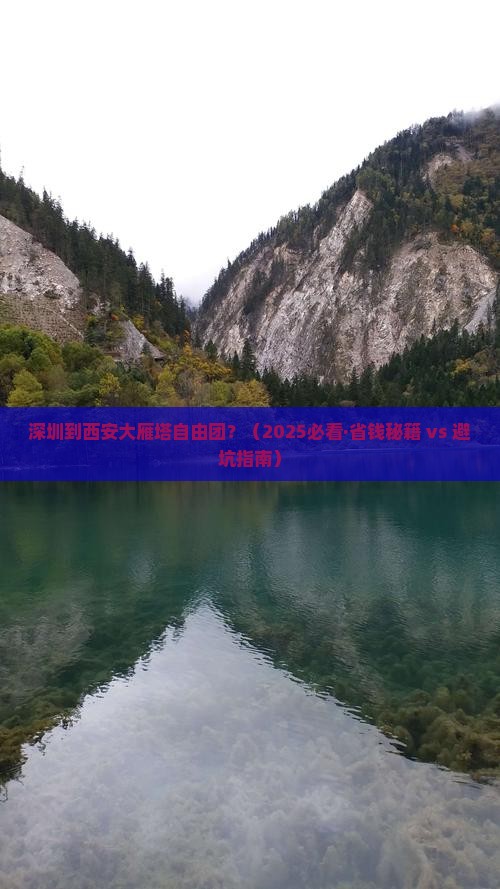 深圳到西安大雁塔自由团