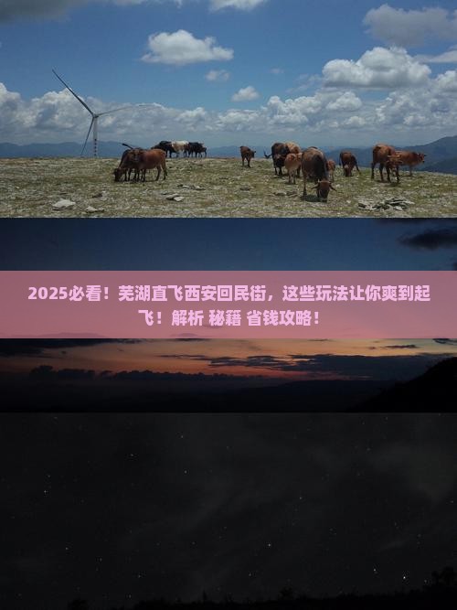 芜湖到西安回民街哪里玩