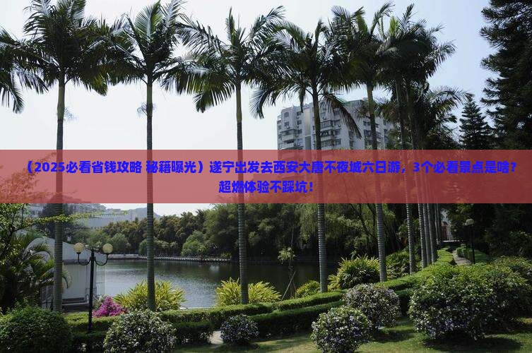 遂宁去西安大唐不夜城六日游