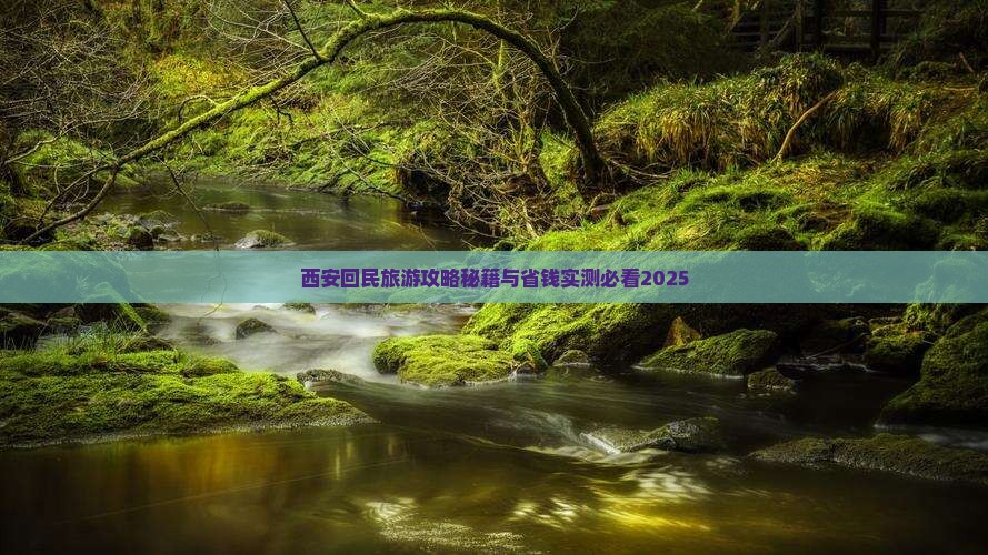 巴彦倬尔去西安回民街自由团 巴彦倬尔去西安回民街自由团