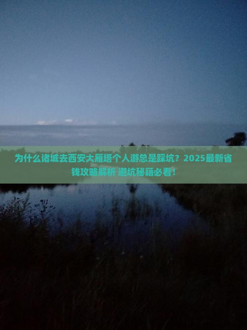 诸城去西安大雁塔个人游