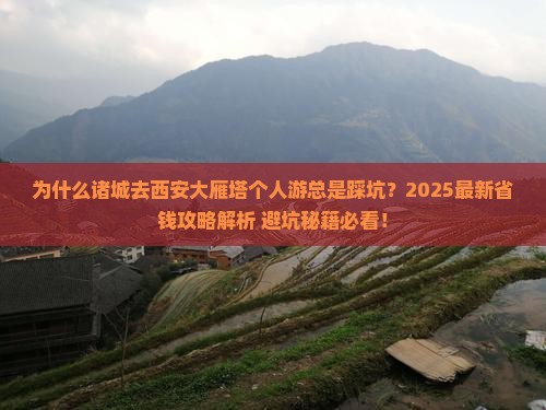 诸城去西安大雁塔个人游