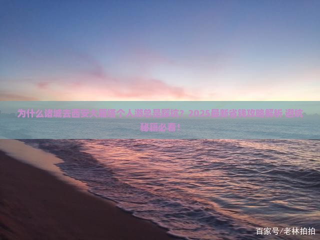 诸城去西安大雁塔个人游
