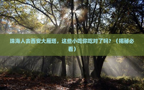 珠海去西安大雁塔旅游小吃
