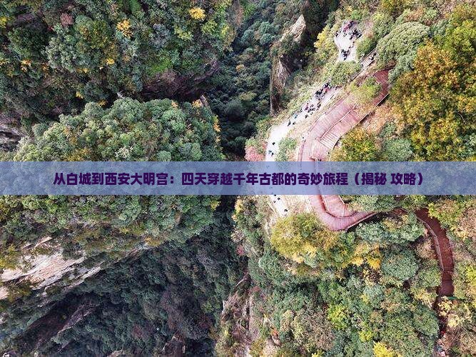 白城到西安大明宫国家遗址公园四日游