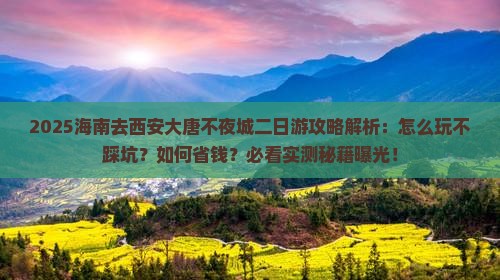 海南去西安大唐不夜城二日游