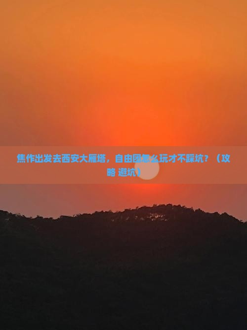 焦作去西安大雁塔自由团