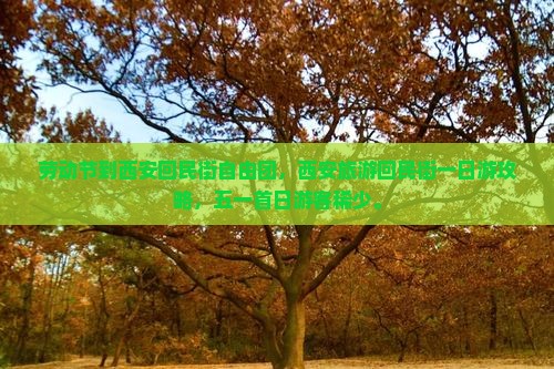 劳动节到西安回民街自由团
