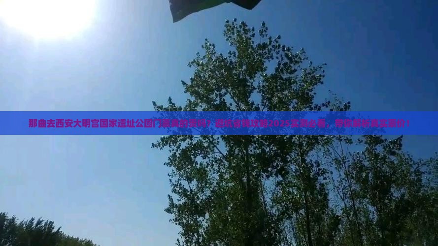 那曲去西安大明宫国家遗址公园门票