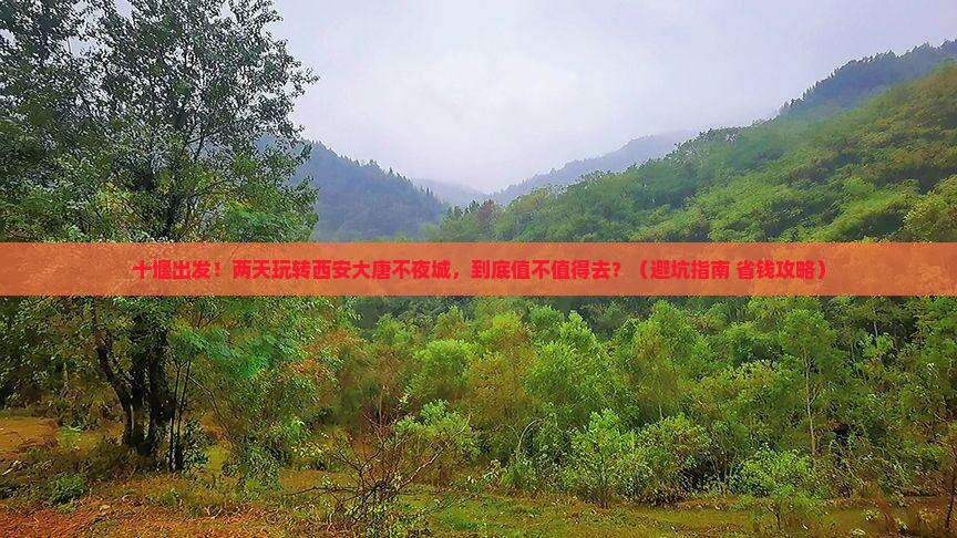 十堰到西安大唐不夜城二日游
