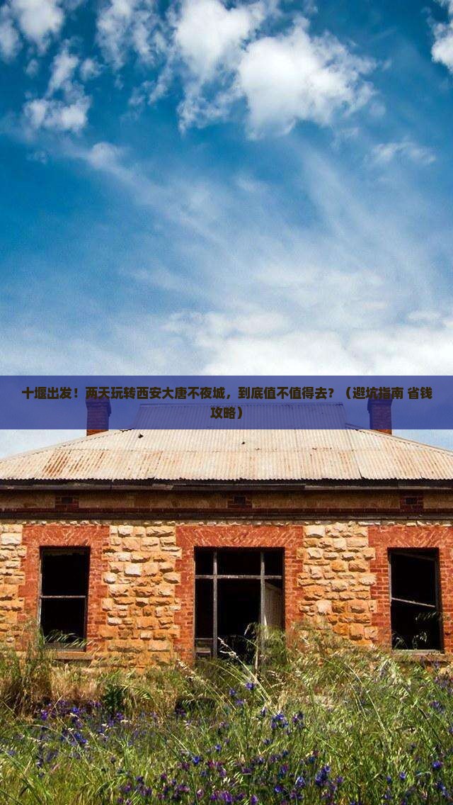 十堰到西安大唐不夜城二日游