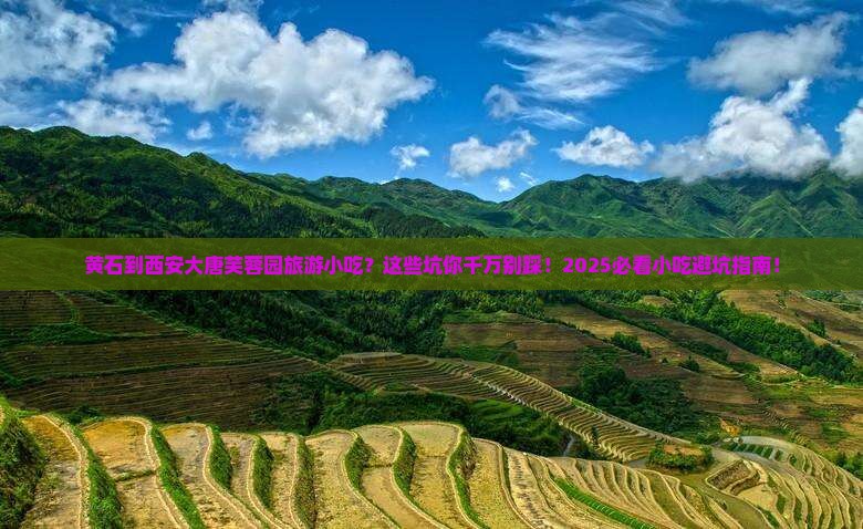 黄石到西安大唐芙蓉园旅游小吃