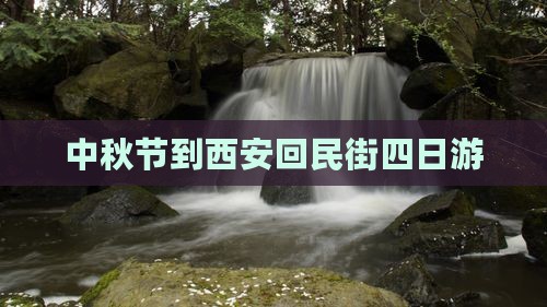 中秋节到西安回民街四日游