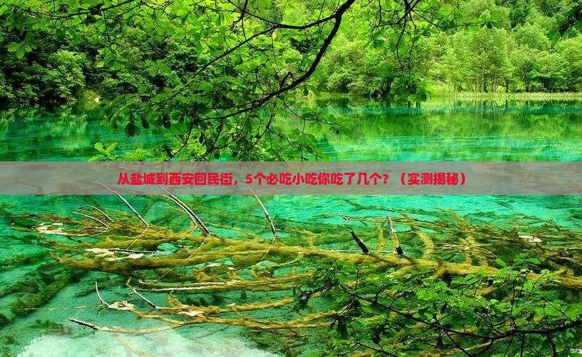 盐城去西安回民街旅游小吃