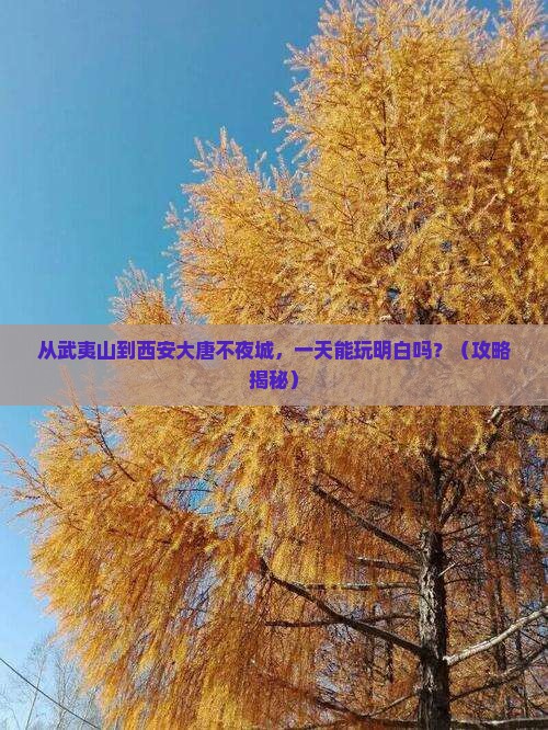 武夷山到西安大唐不夜城一日游