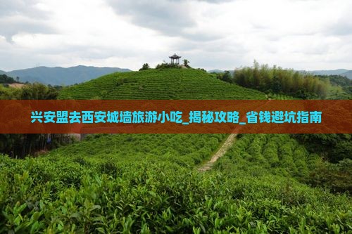 兴安盟去西安城墙旅游小吃