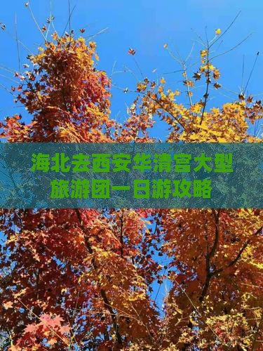 海北去西安华清宫大型旅游团