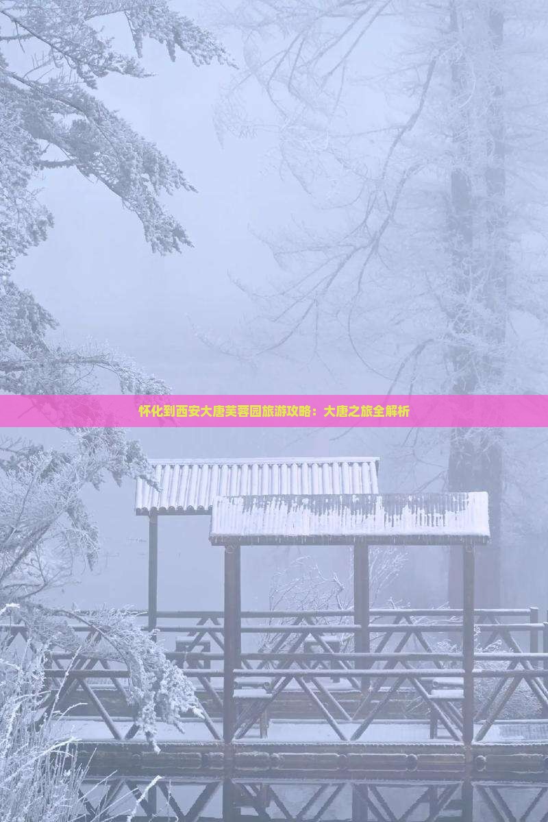 怀化到西安大唐芙蓉园自由团