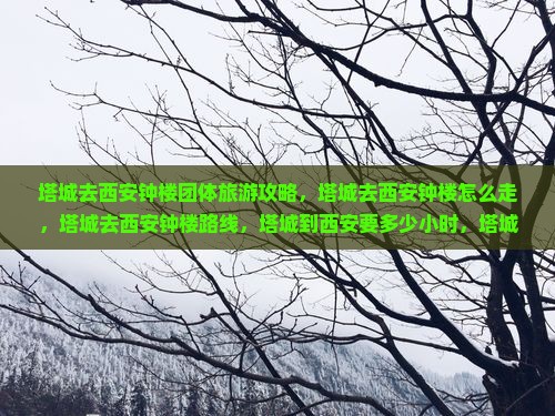 塔城去西安钟楼团体旅游
