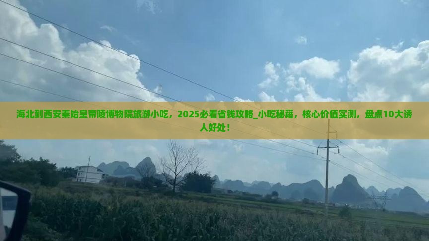 海北到西安秦始皇帝陵博物院旅游小吃