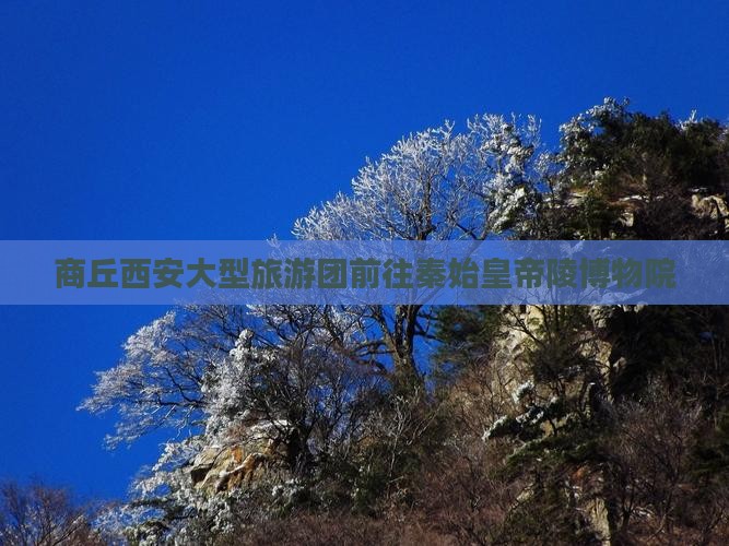 商丘到西安秦始皇帝陵博物院大型旅游团