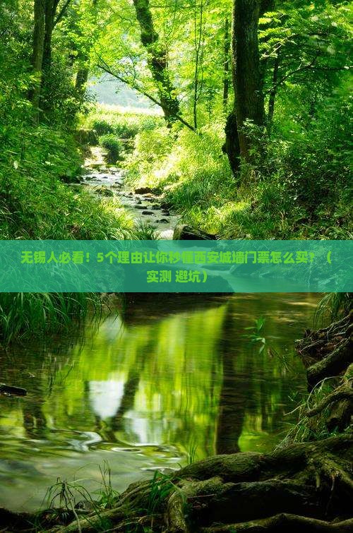 无锡到西安城墙门票