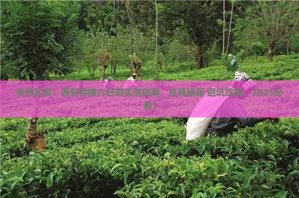 永州到西安钟楼六日游