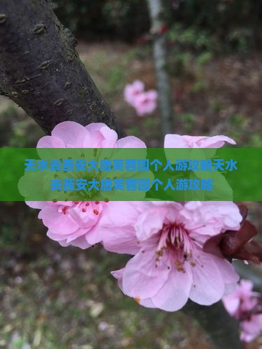 天水去西安大唐芙蓉园个人游