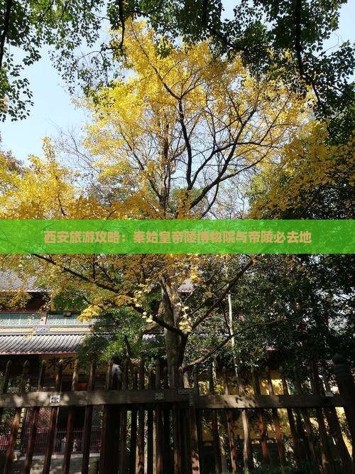 汕头到西安秦始皇帝陵博物院必去地