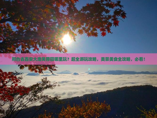 邢台去西安大唐芙蓉园哪里玩
