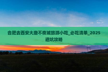 合肥去西安大唐不夜城旅游小吃