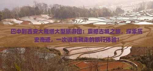 巴中到西安大雁塔大型旅游团