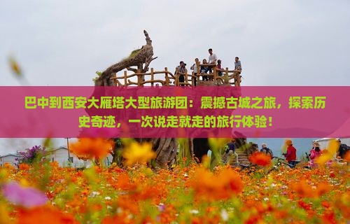 巴中到西安大雁塔大型旅游团