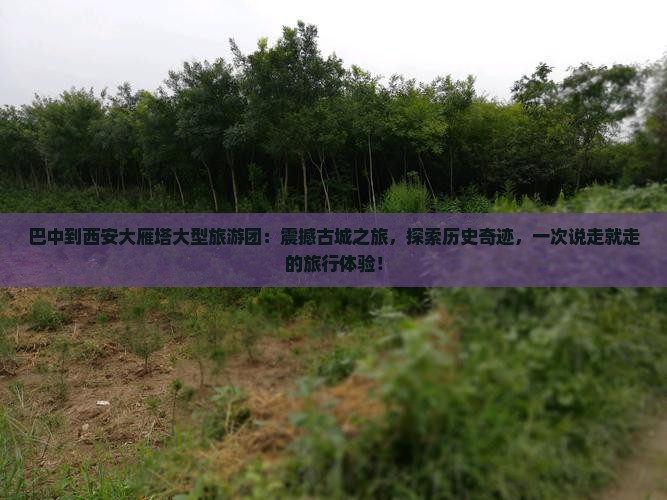 巴中到西安大雁塔大型旅游团