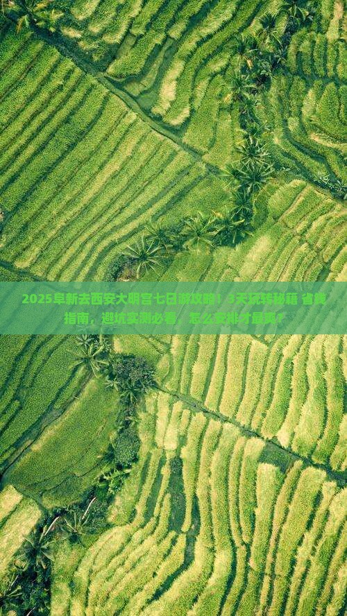 阜新去西安大明宫国家遗址公园七日游
