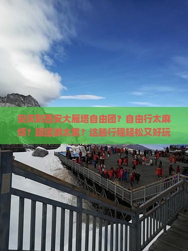 安庆到西安大雁塔自由团