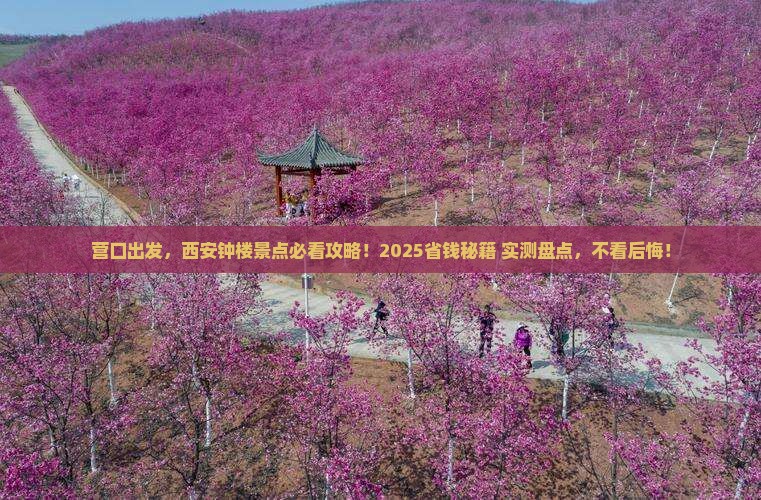 营口到西安钟楼景点
