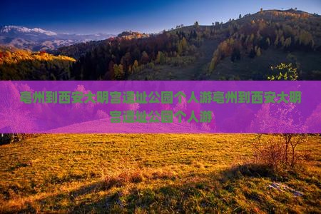 亳州到西安大明宫国家遗址公园个人游