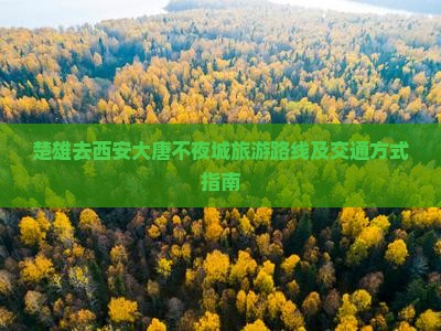 楚雄去西安大唐不夜城旅游