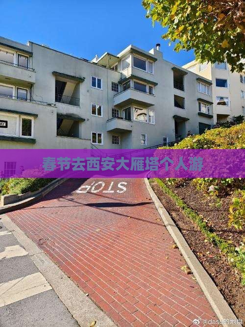春节去西安大雁塔个人游