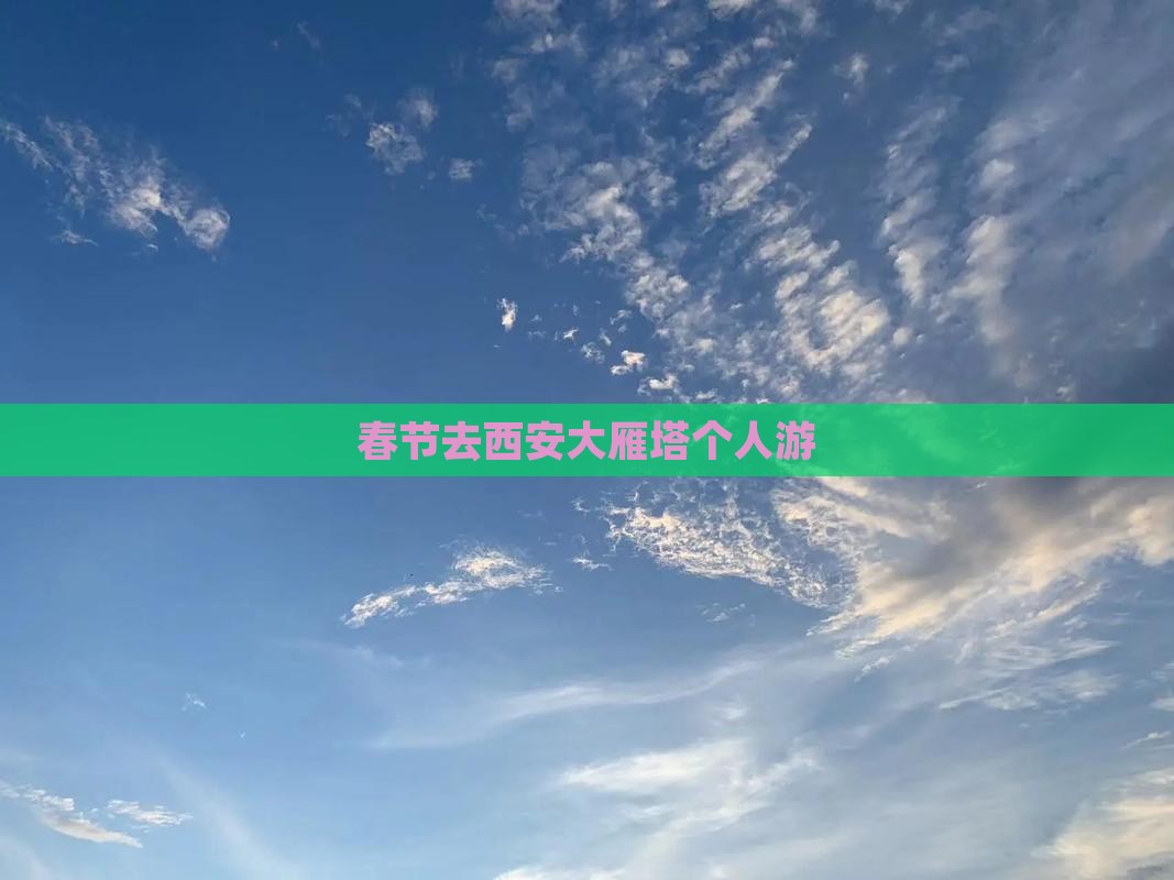 春节去西安大雁塔个人游