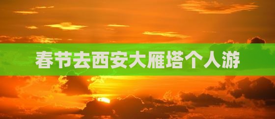 春节去西安大雁塔个人游