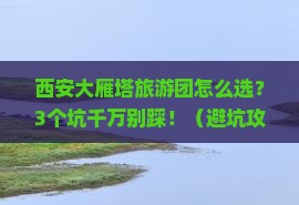 西安到西安大雁塔大型旅游团