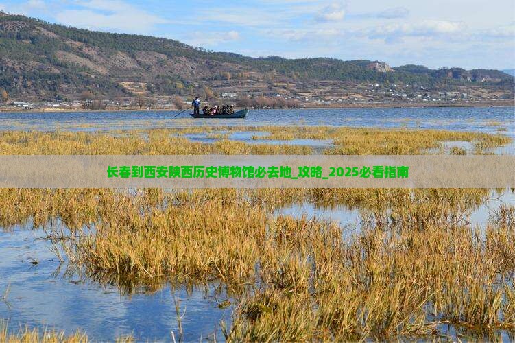 长春到西安陕西历史博物馆必去地