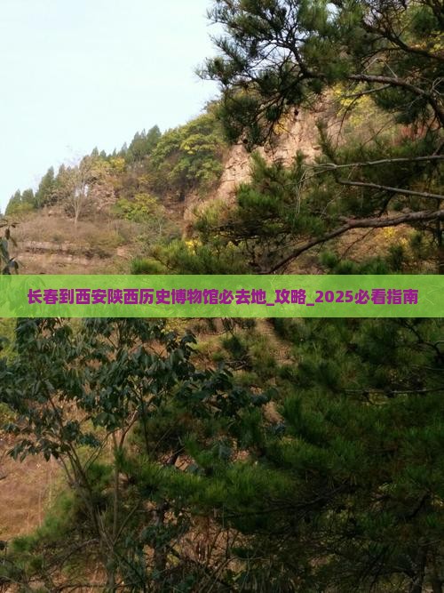 长春到西安陕西历史博物馆必去地