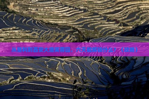 垦利到西安大唐芙蓉园六日游